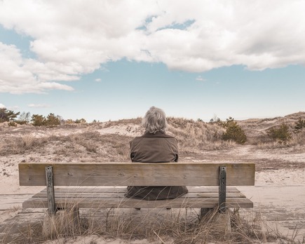 ¿ cuál es la pension maxima de jubilación en españa en 2022?