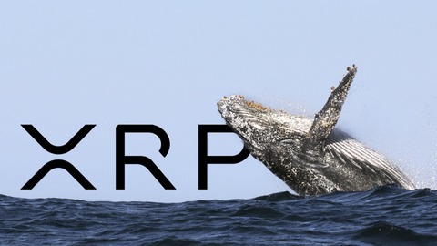 la actividad de la ballenas de x r p se dispara con el retroceso del precio
