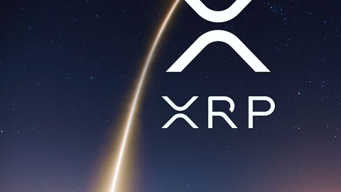 un algoritmo predice el precio del x r p para final de año