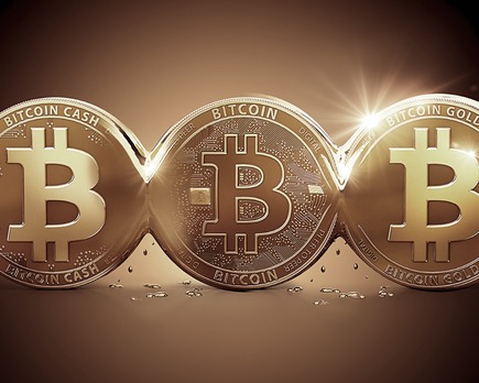 ¿ qué hard forks ha tenido bitcoin? versiones de bitcoin