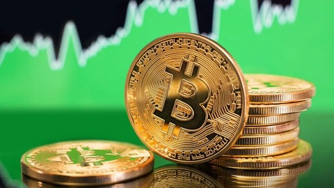 la cantidad de bitcoin ' h o d l' alcanza el máximo de los últimos 5 años