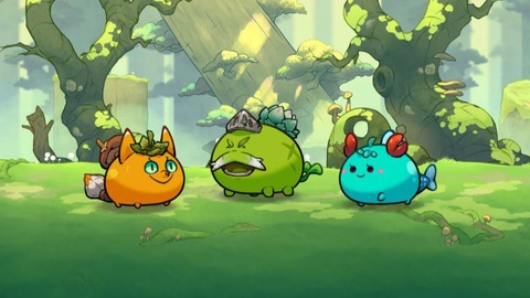el c e o de axie infinity niega el uso de información privilegiada
