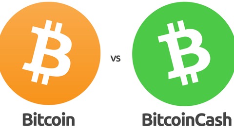 cuáles son las diferencias entre bitcoin y bitcoin cash