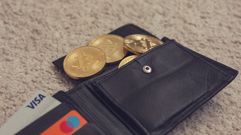 monedero cripto descarga