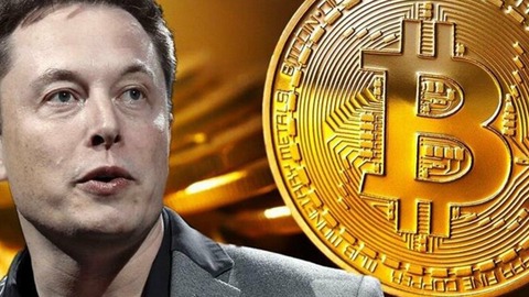 elon musk confía en que el bitcoin se recuperará