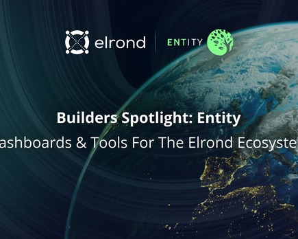 entity utiliza la blockchain de elrond para dar a conocer sus servicios de fi
