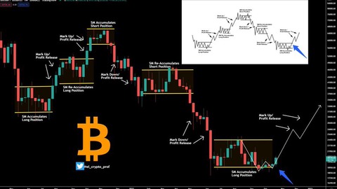 traders expertos