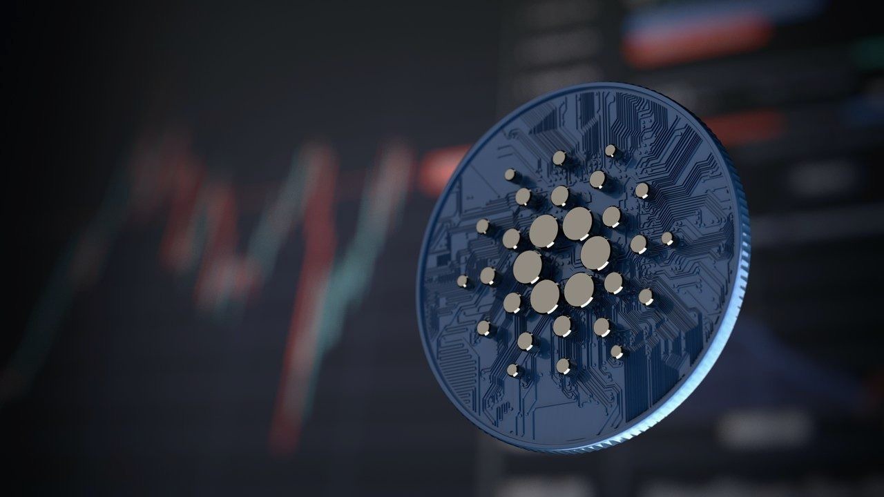 proyecto cardano fomo