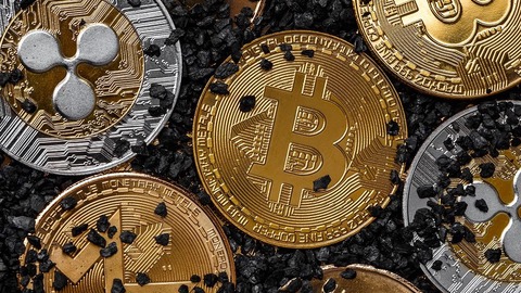 el mercado bajista no frenó el interés institucional por las criptomonedas