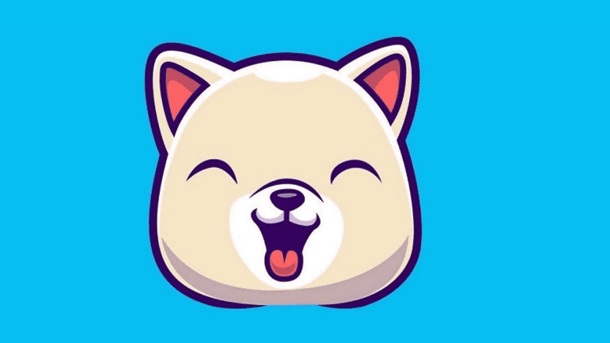 kishu inu proyecto