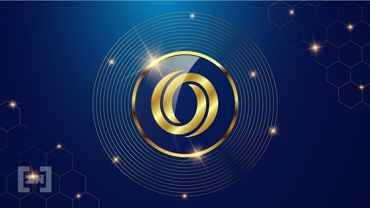 oasis network rose