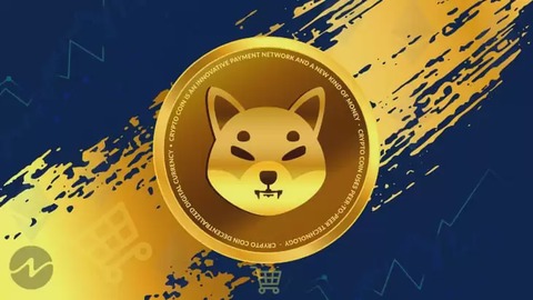 s h i b suma 50.000 nuevos holders en un mes