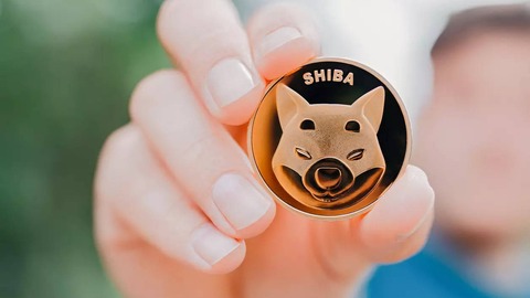 más del 75% de los titulares de s h i b están en pérdidas
