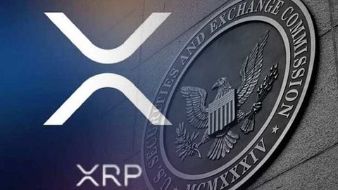 los titulares de x r p participen podrán participar en la demanda de la s e c