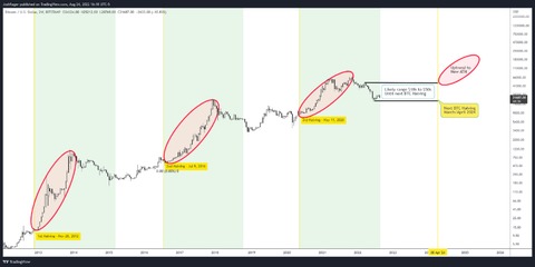 trader profesionales featured