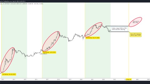 un trader insinúa que la "verdadera fiesta del bitcoin no empezará hasta 2024"